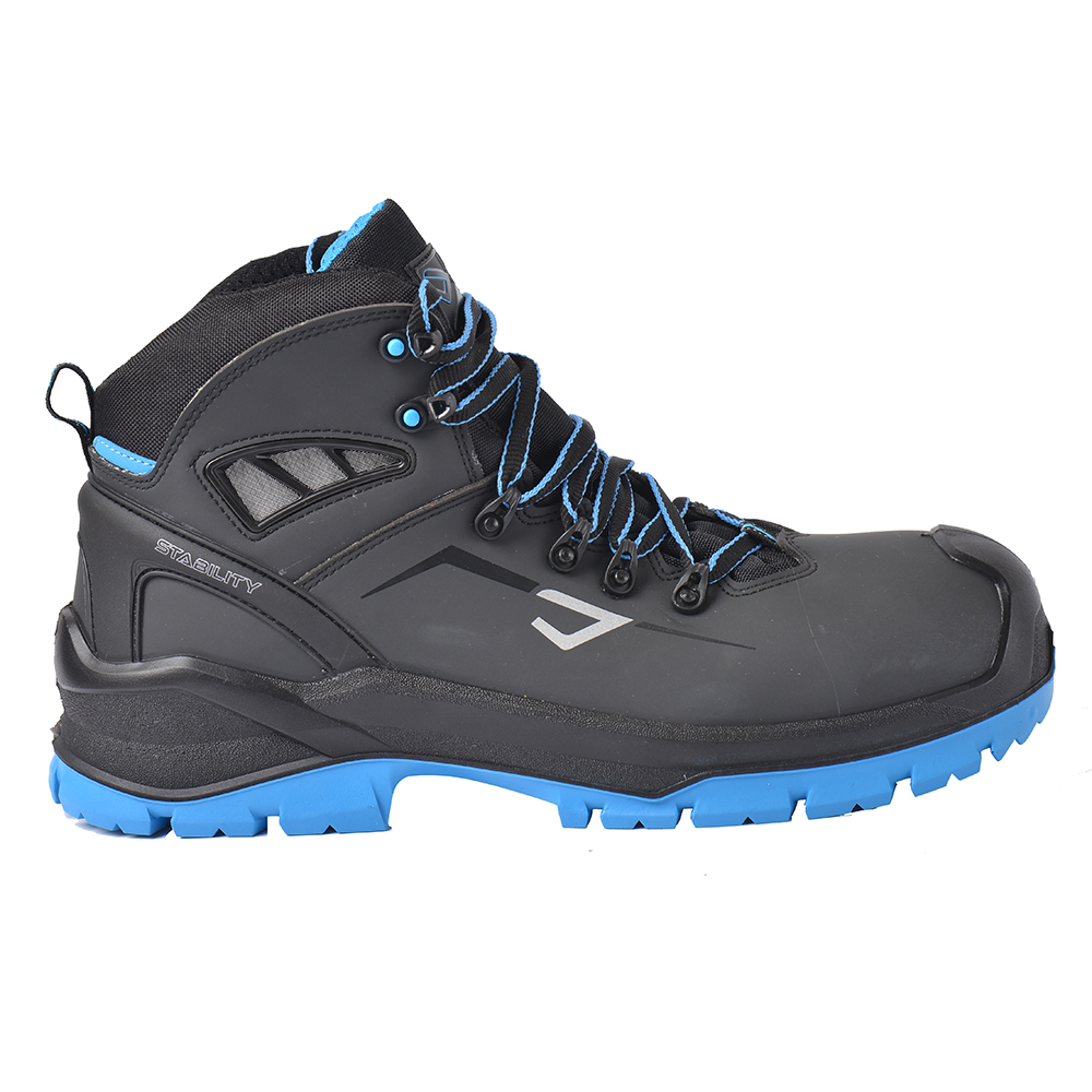 bicap_whale_s3_k4_src